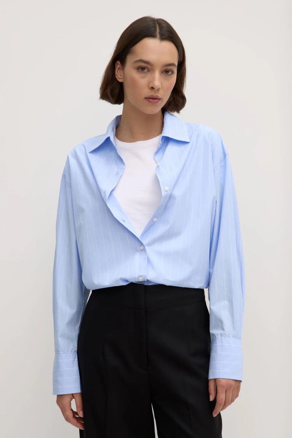 Assembly Label Womens Otis Poplin Stripe Long Sleeve Shirt - Bahama/White Assembly Label