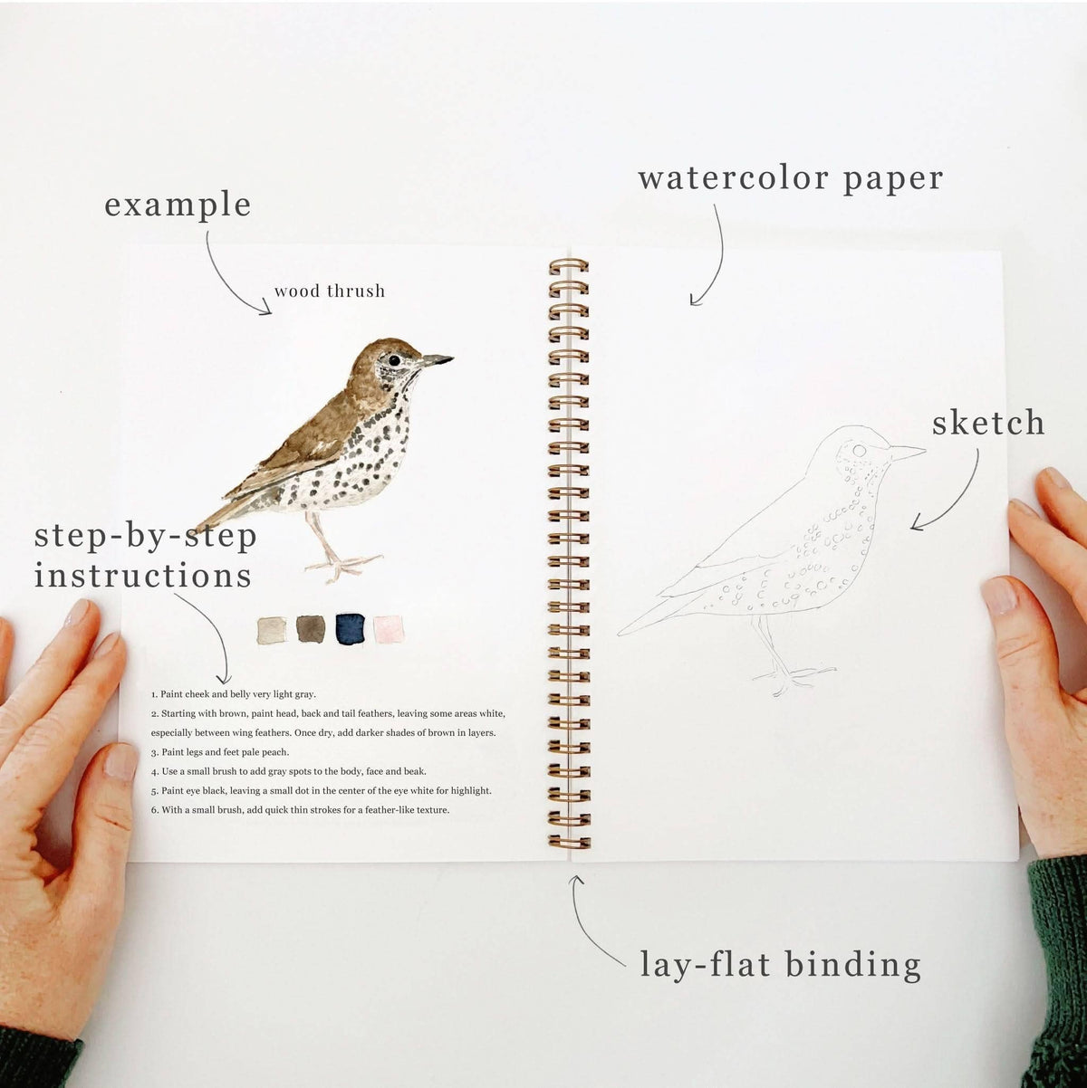 Birds Watercolour Workbook emily lex studio