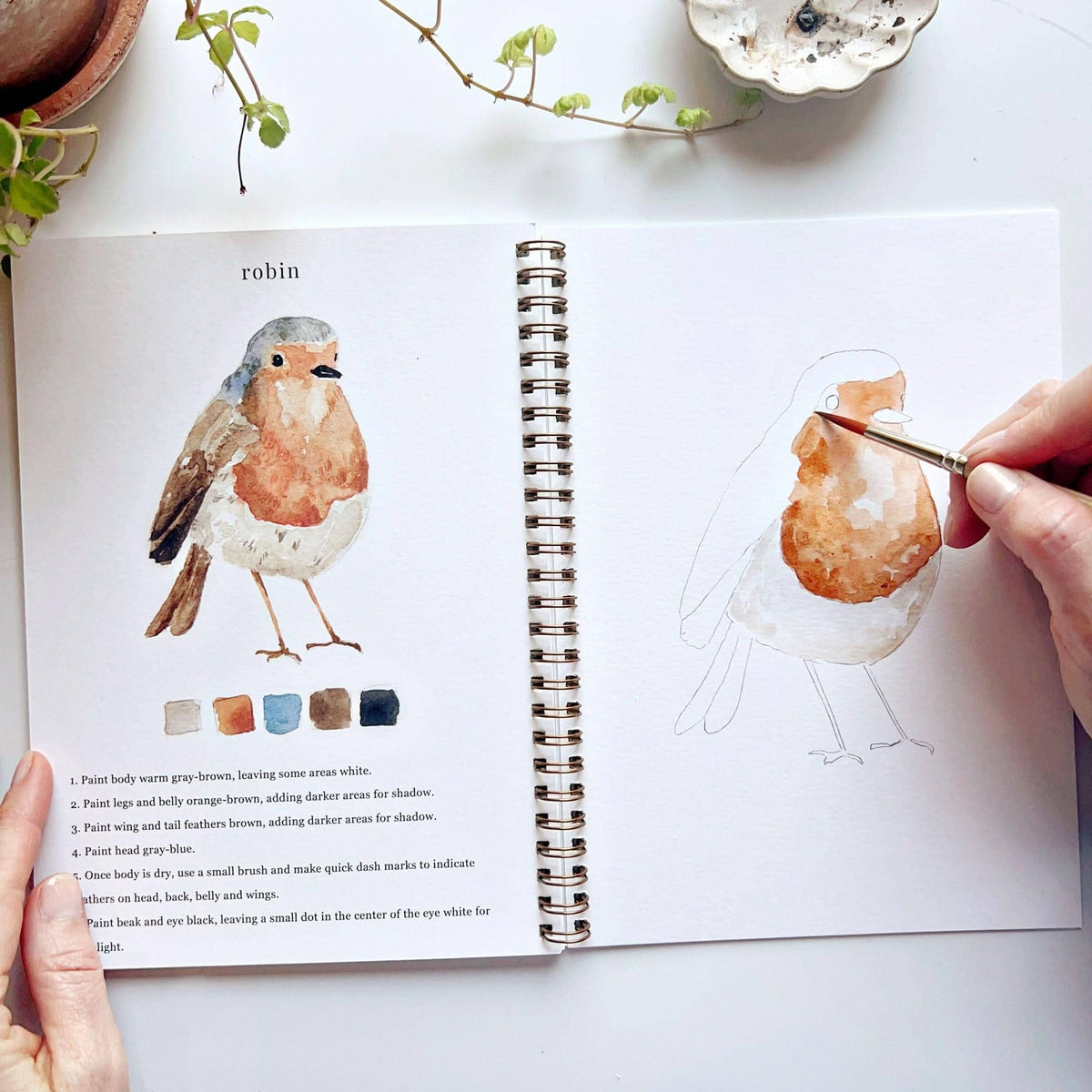 Birds Watercolour Workbook emily lex studio