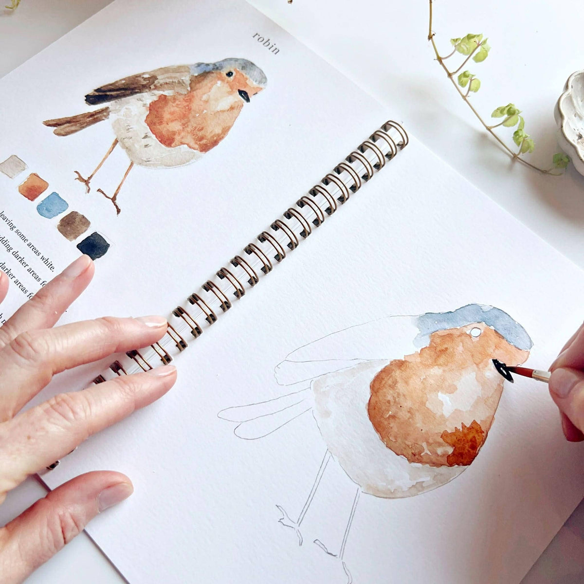 Birds Watercolour Workbook emily lex studio