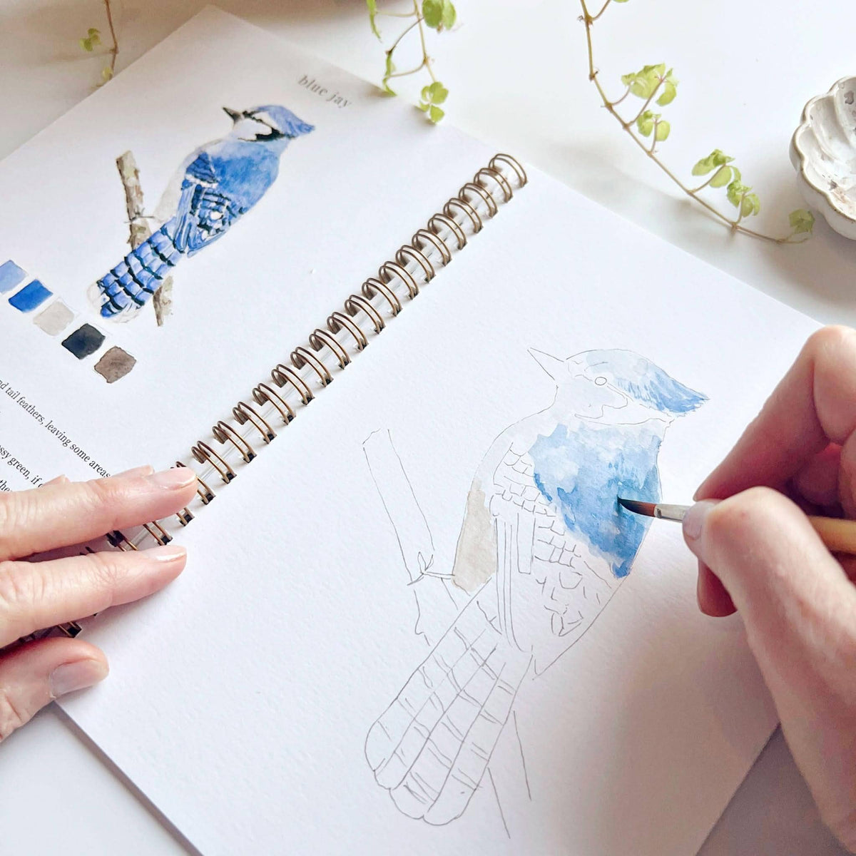 Birds Watercolour Workbook emily lex studio