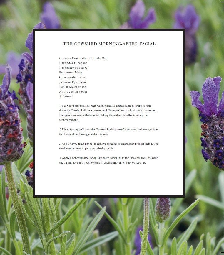 Eat, Drink, Nap Lifestyle Book Brumby Sunstate