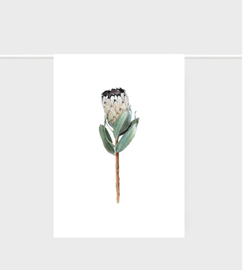 Father Rabbit Tea Towel - Protea Father Rabbit