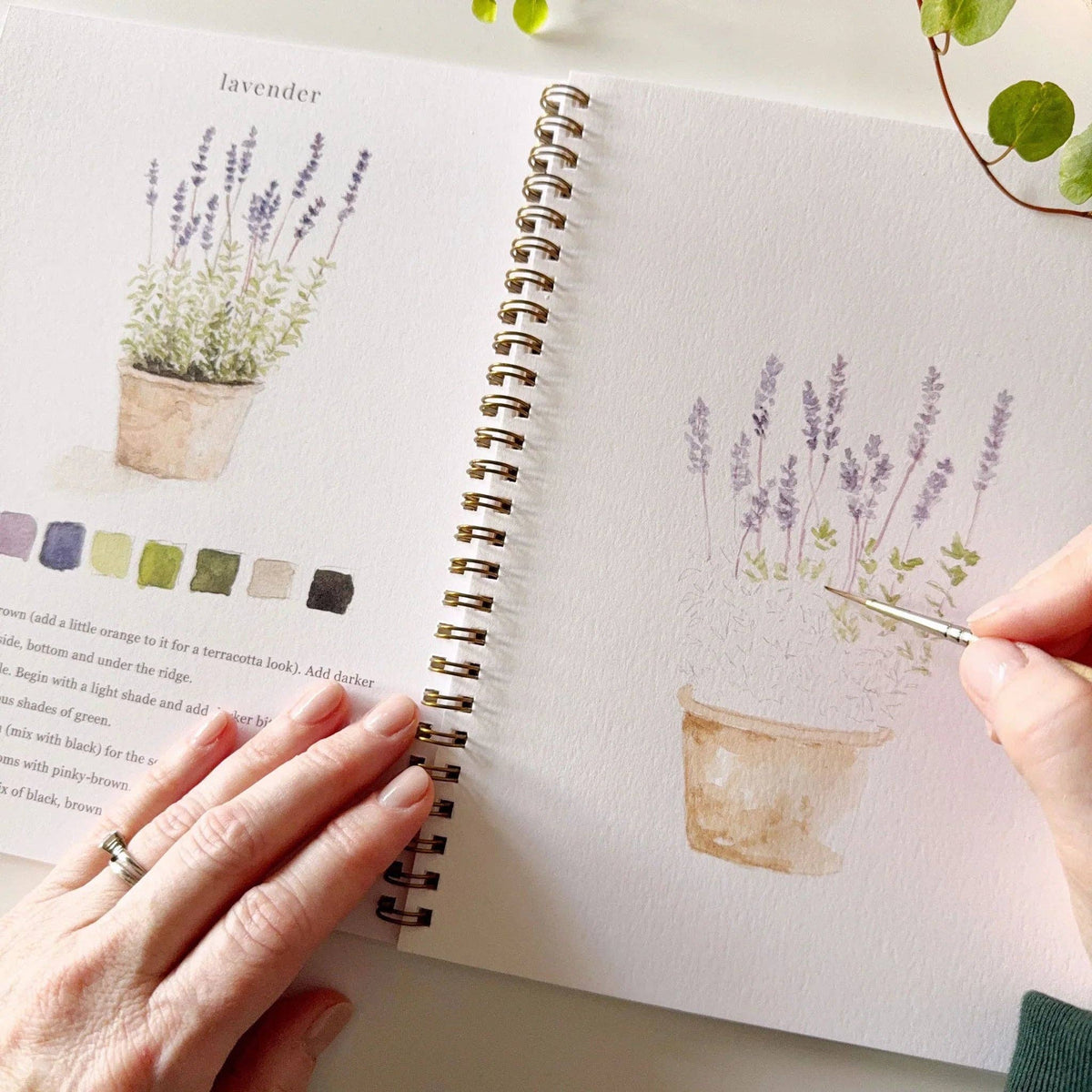 Garden Watercolour Workbook emily lex studio