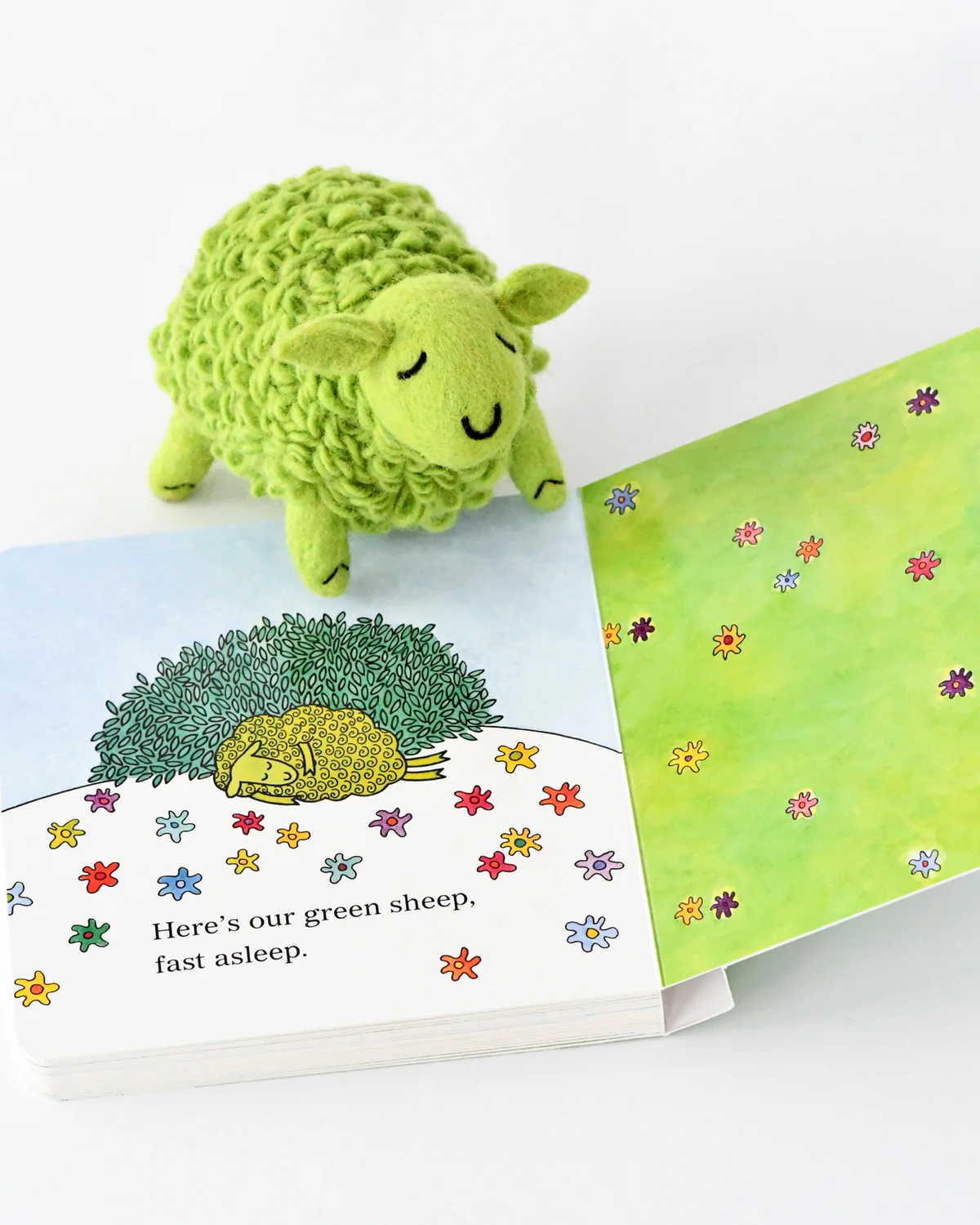 Tara Treasures Where is The Green Sheep Book Set