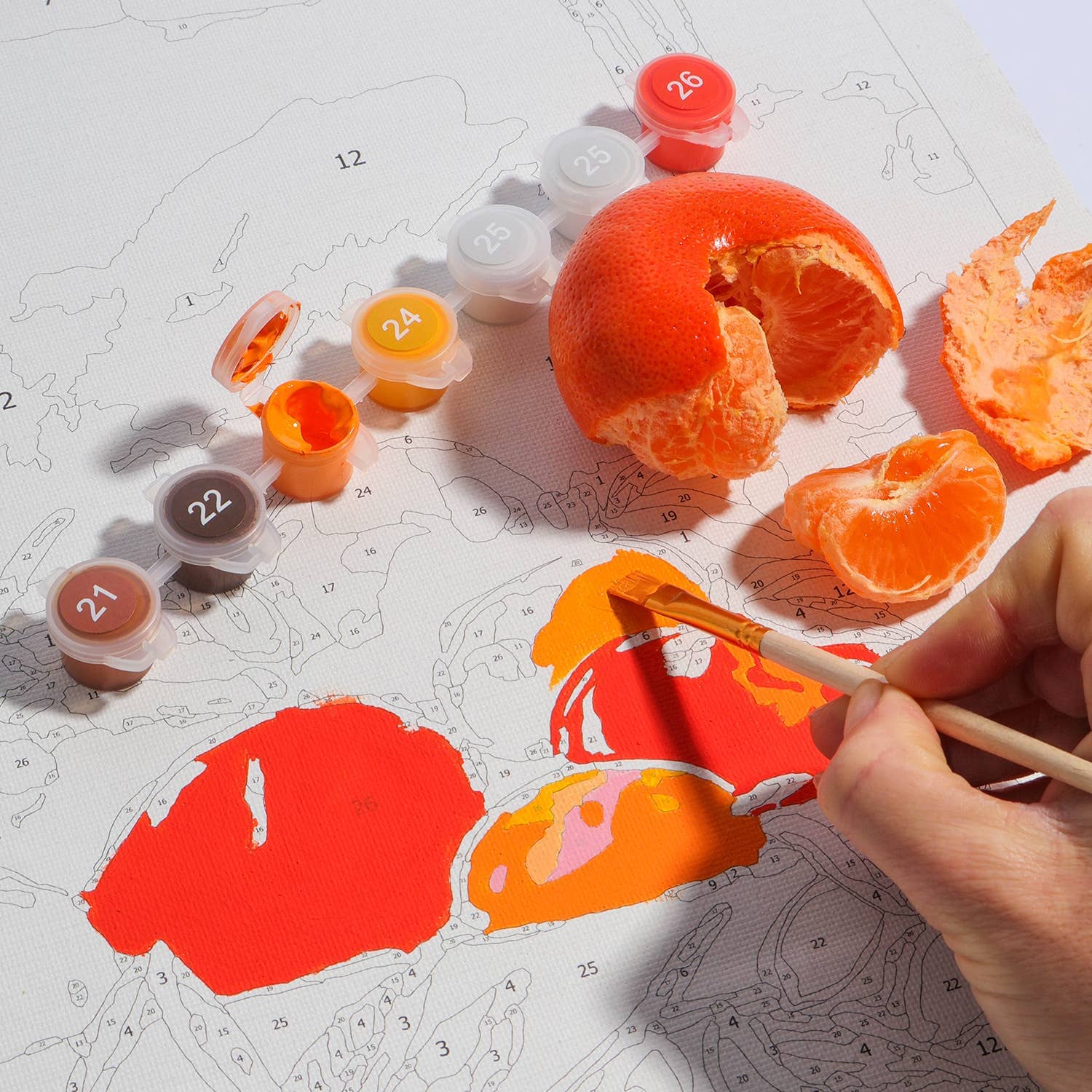 Journey of Something Paint by Numbers - Bowl of Oranges Paint by Numbers Journey Of Something