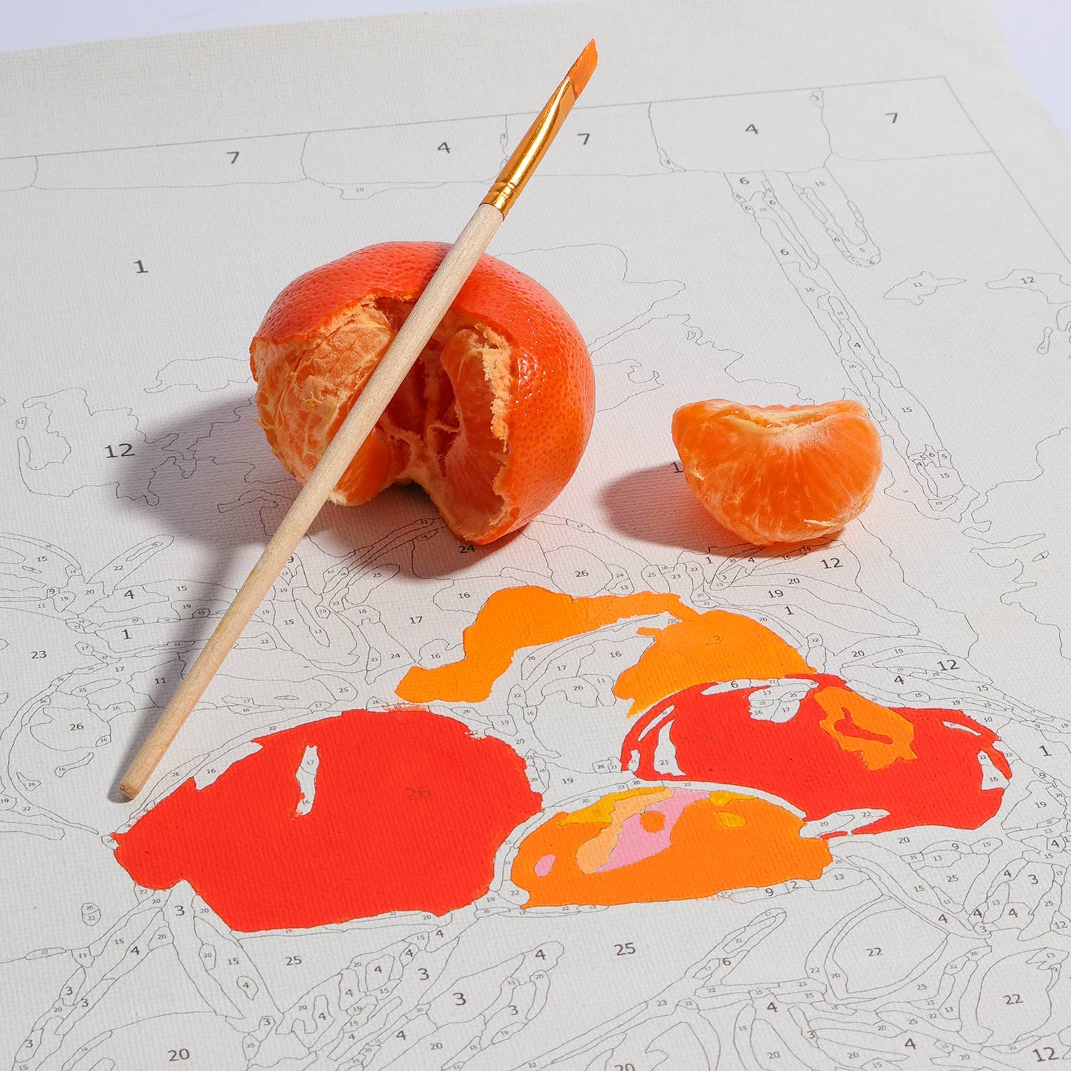 Journey of Something Paint by Numbers - Bowl of Oranges Paint by Numbers Journey Of Something
