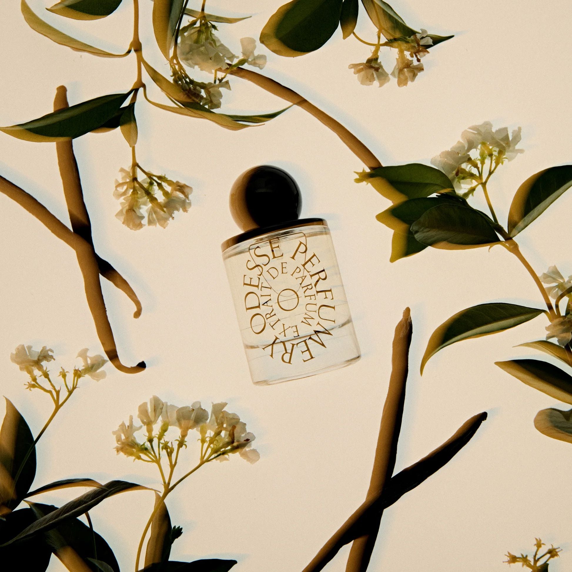 Odesse Vanilla Vanilla Extrait de Parfum Odesse