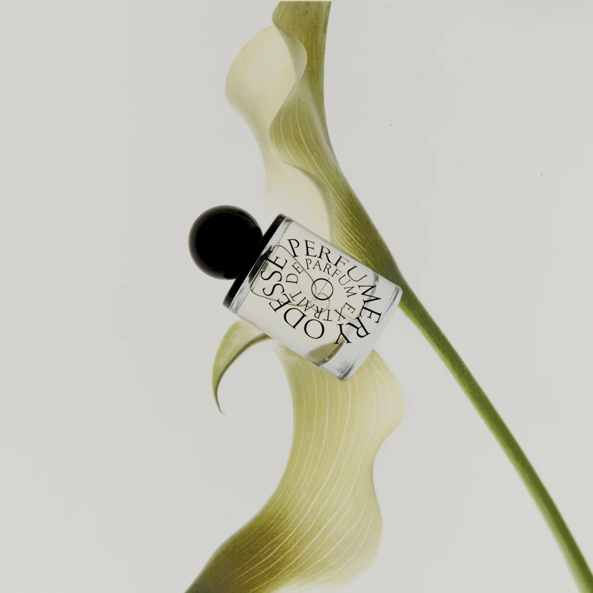 Odesse Extrait De Parfum - Morning Skin