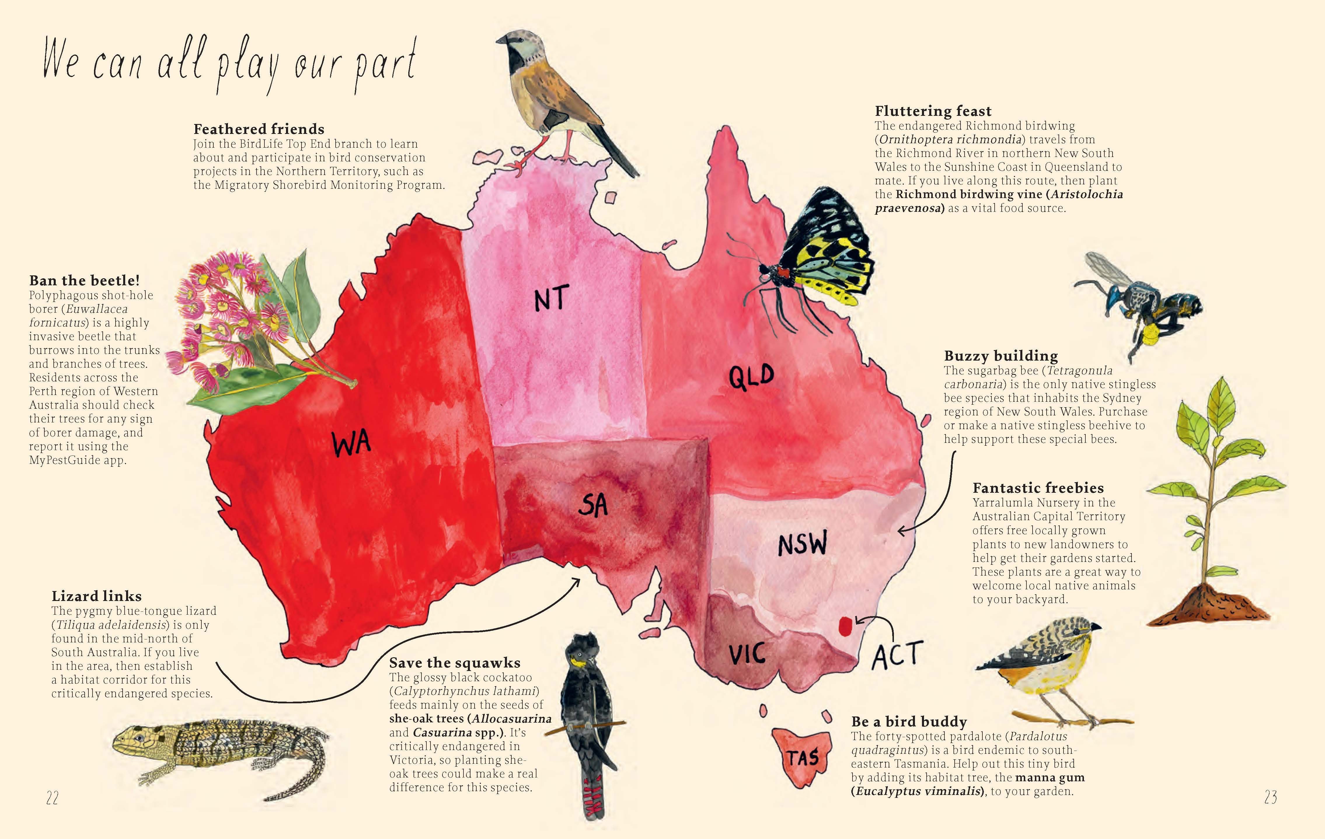 Planting for Native Birds, Bees, and Butterflies Gardening Book Brumby Sunstate