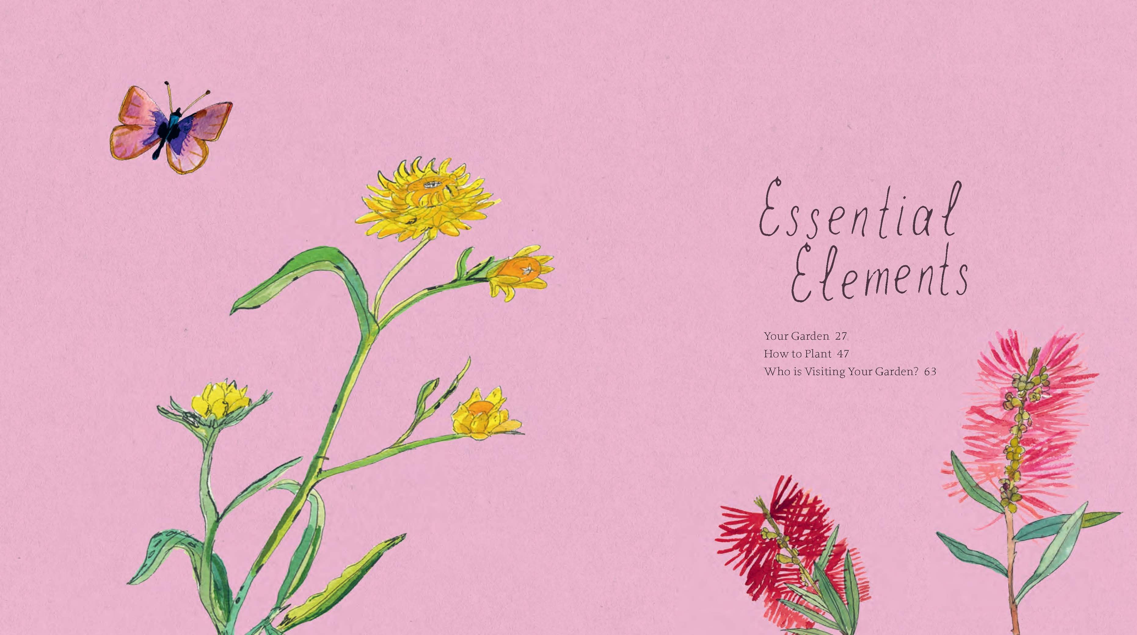 Planting for Native Birds, Bees, and Butterflies Gardening Book Brumby Sunstate