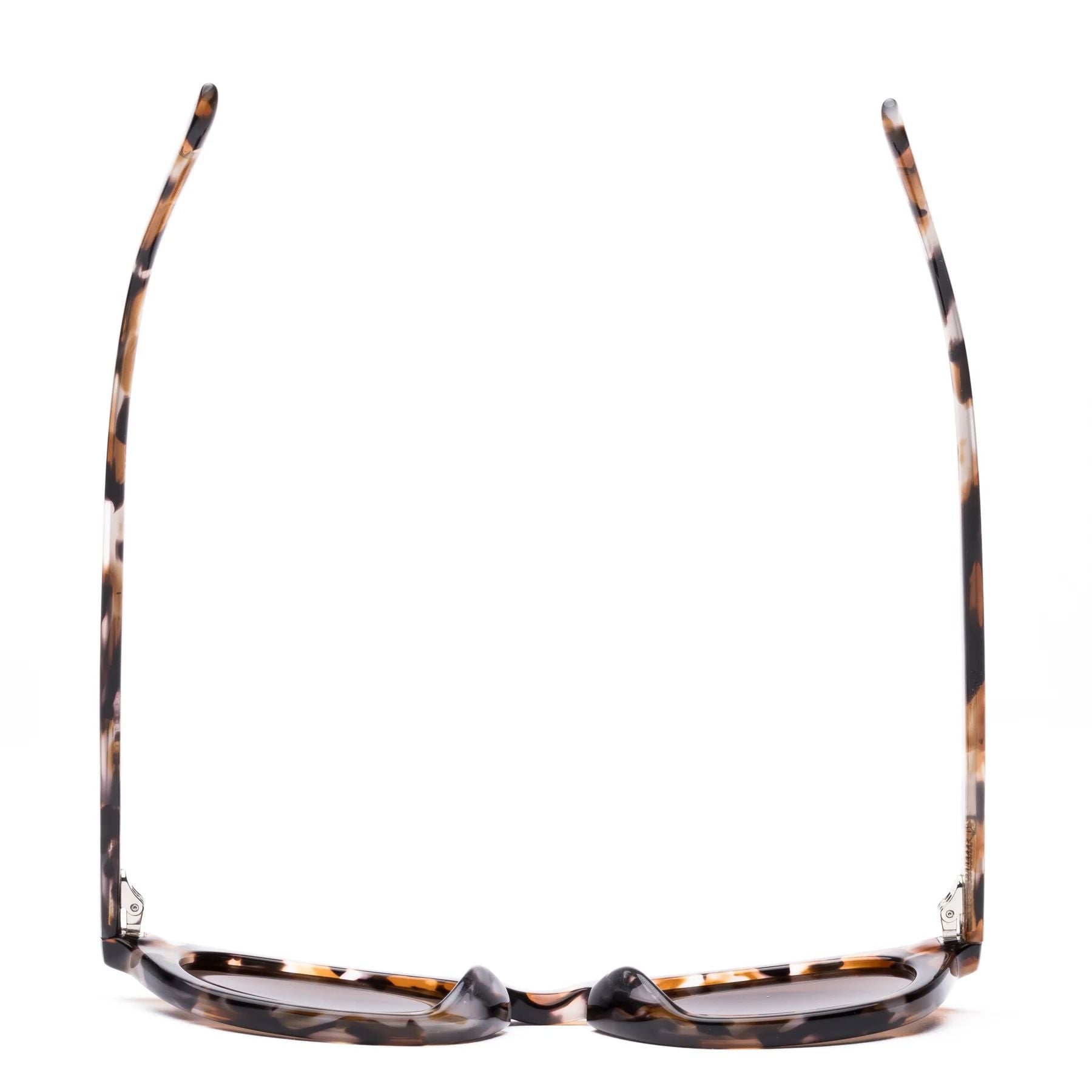 Sito Shades Now or Never - Chestnut Tort/Coffee Sito Shades