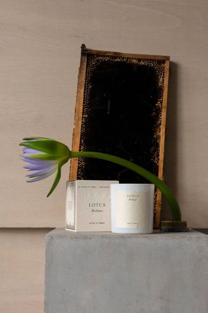 Studio Sol Lotus Candle - Resilience Candle Studio Sol