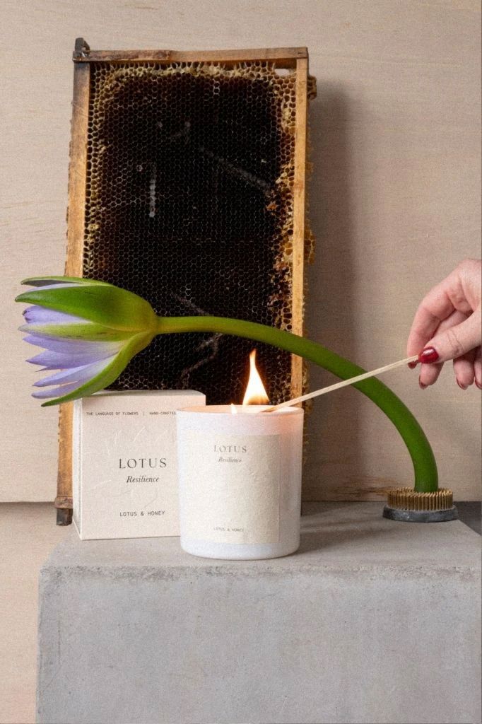 Studio Sol Lotus Candle - Resilience Candle Studio Sol