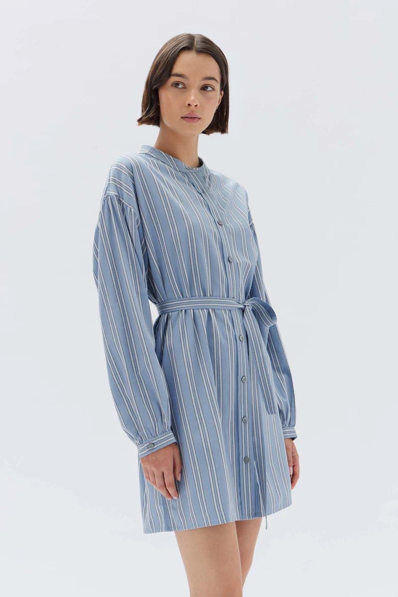 Assembly Label Luna Stripe Mini Dress - Glacial Stripe Assembly Label