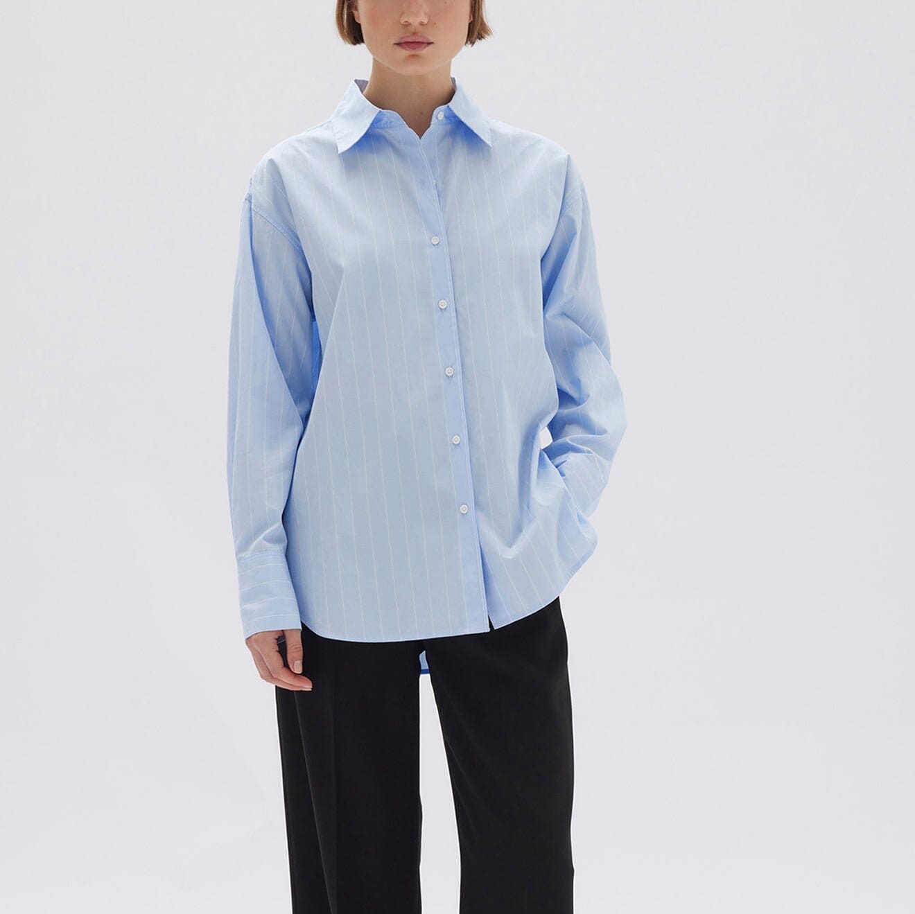 Assembly Label Otis Poplin Stripe Long Sleeve Shirt - Bahama/White Assembly Label