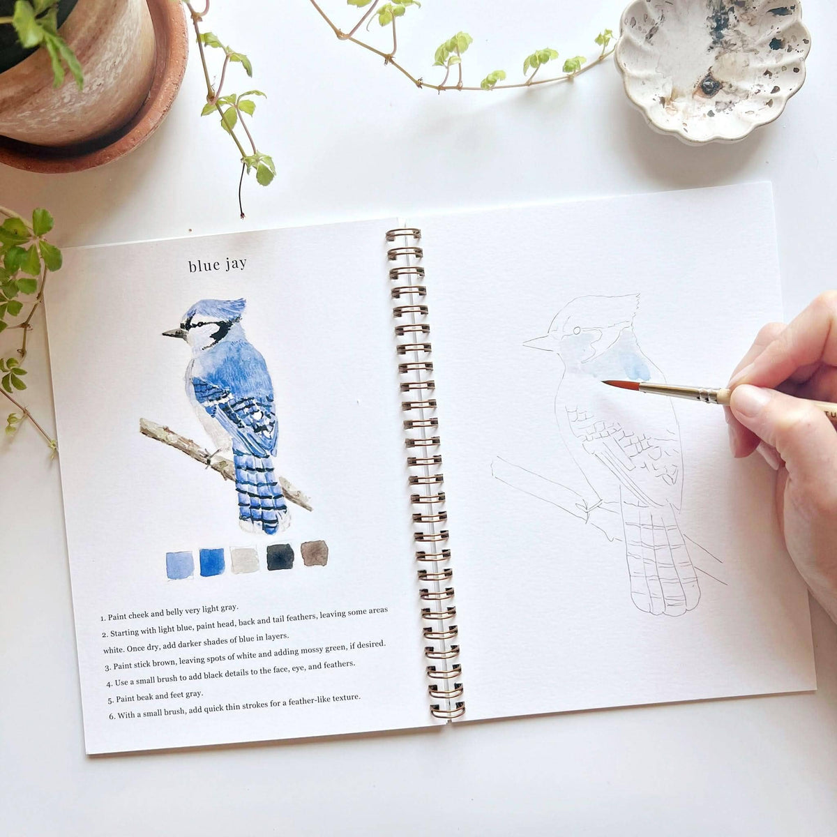 Birds Watercolour Workbook emily lex studio