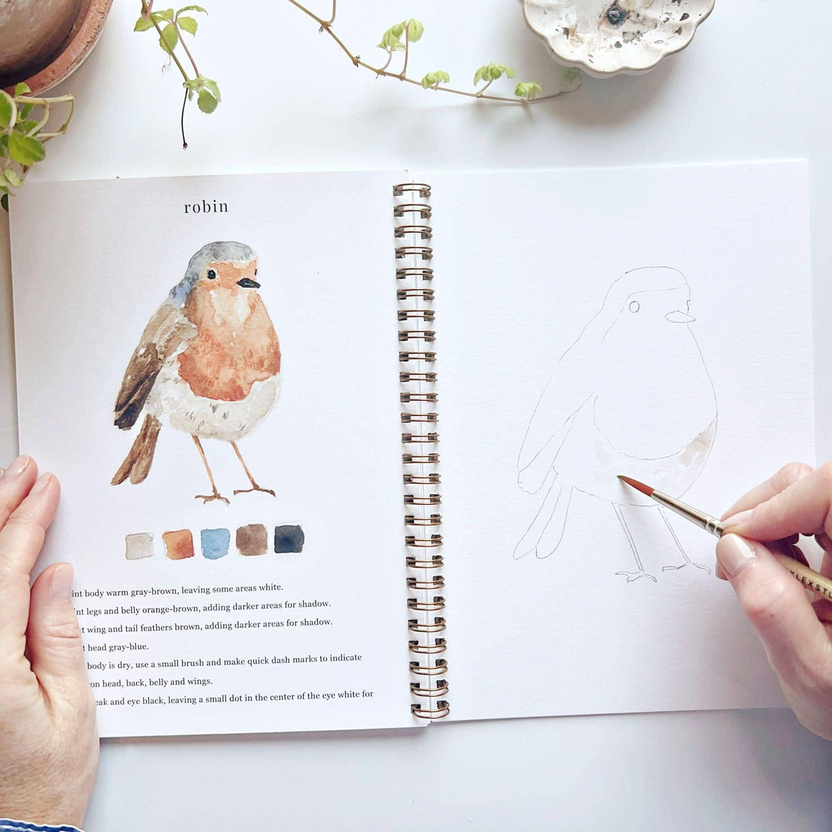 Birds Watercolour Workbook emily lex studio
