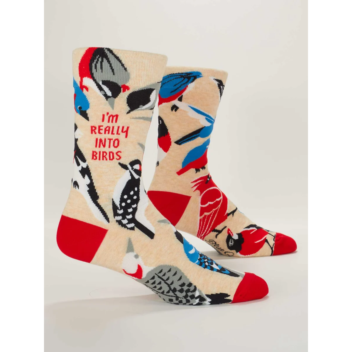 BlueQ Men's Crew Socks - Really into Birds