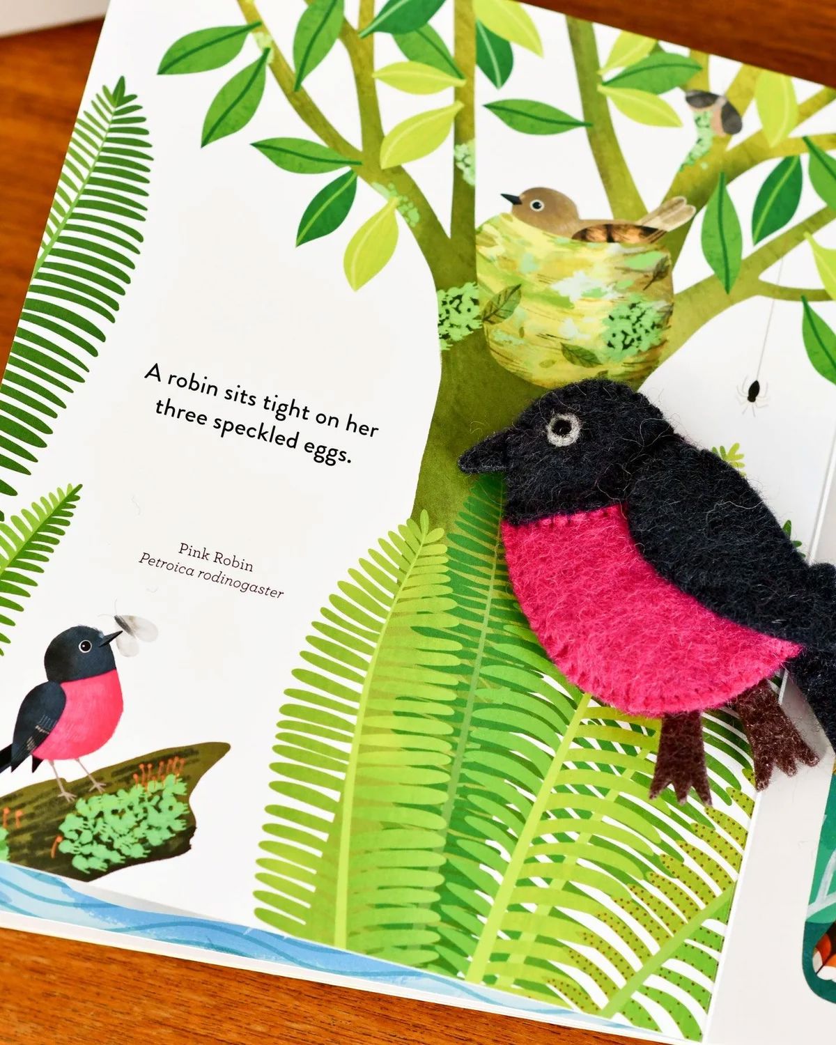 Busy Beaks Finger Puppets & Book Set Finger Puppets Eclectic House 