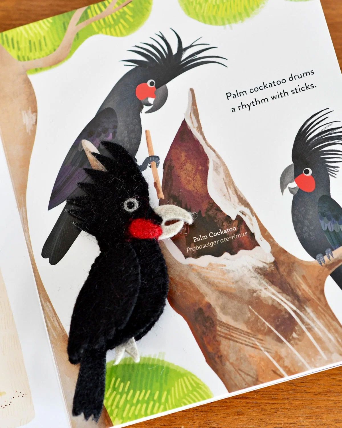 Busy Beaks Finger Puppets & Book Set Finger Puppets Eclectic House 