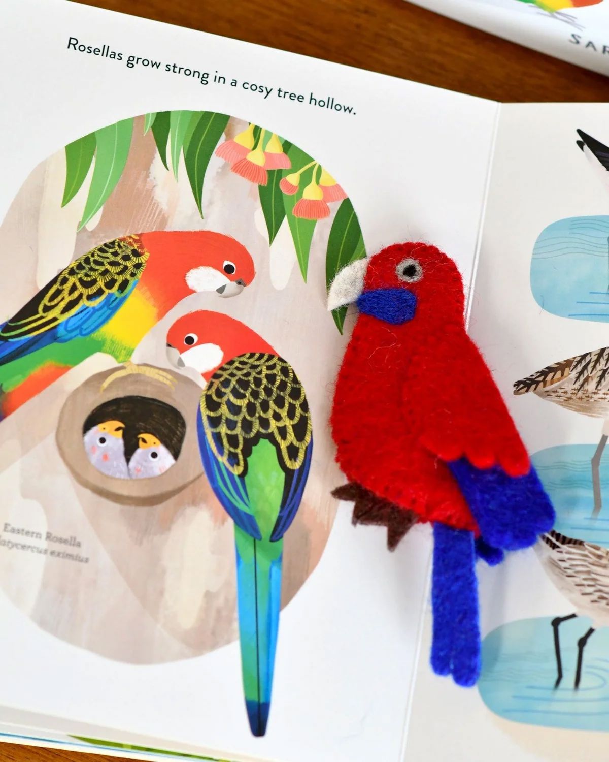 Busy Beaks Finger Puppets & Book Set Finger Puppets Eclectic House 