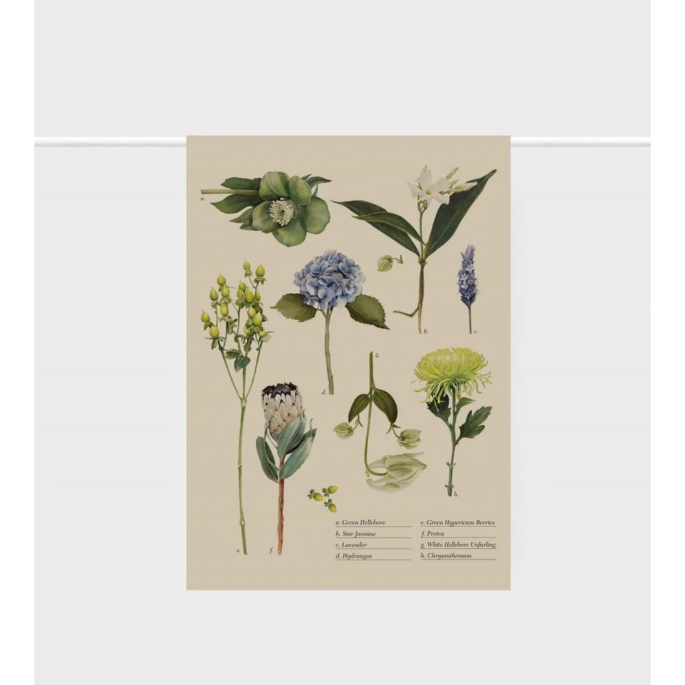 Father Rabbit Tea Towel - Botanical Collection Father Rabbit