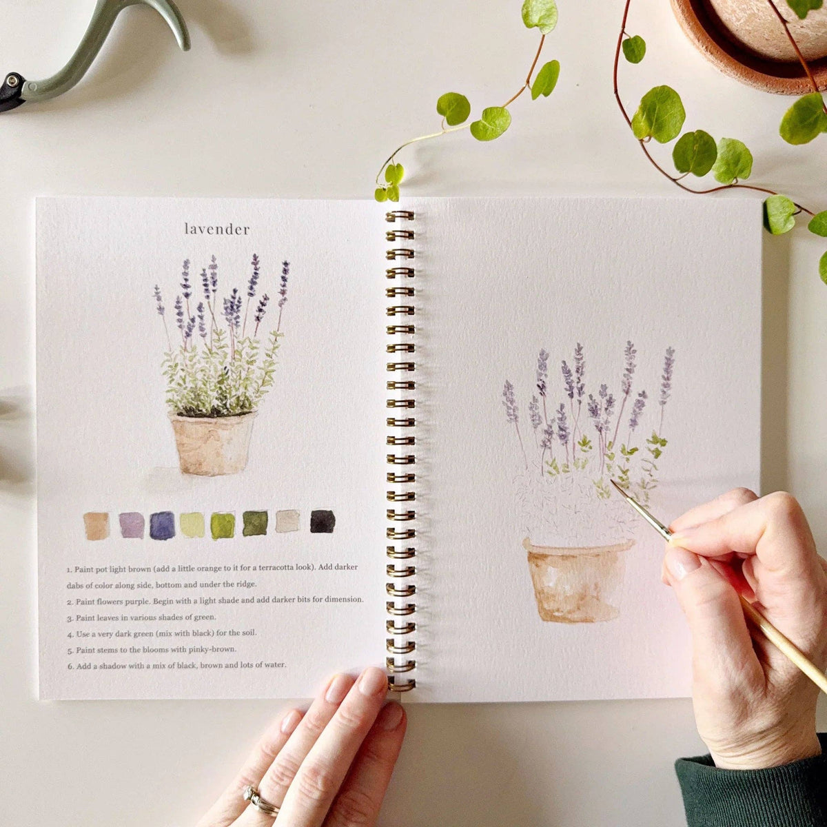 Garden Watercolour Workbook emily lex studio