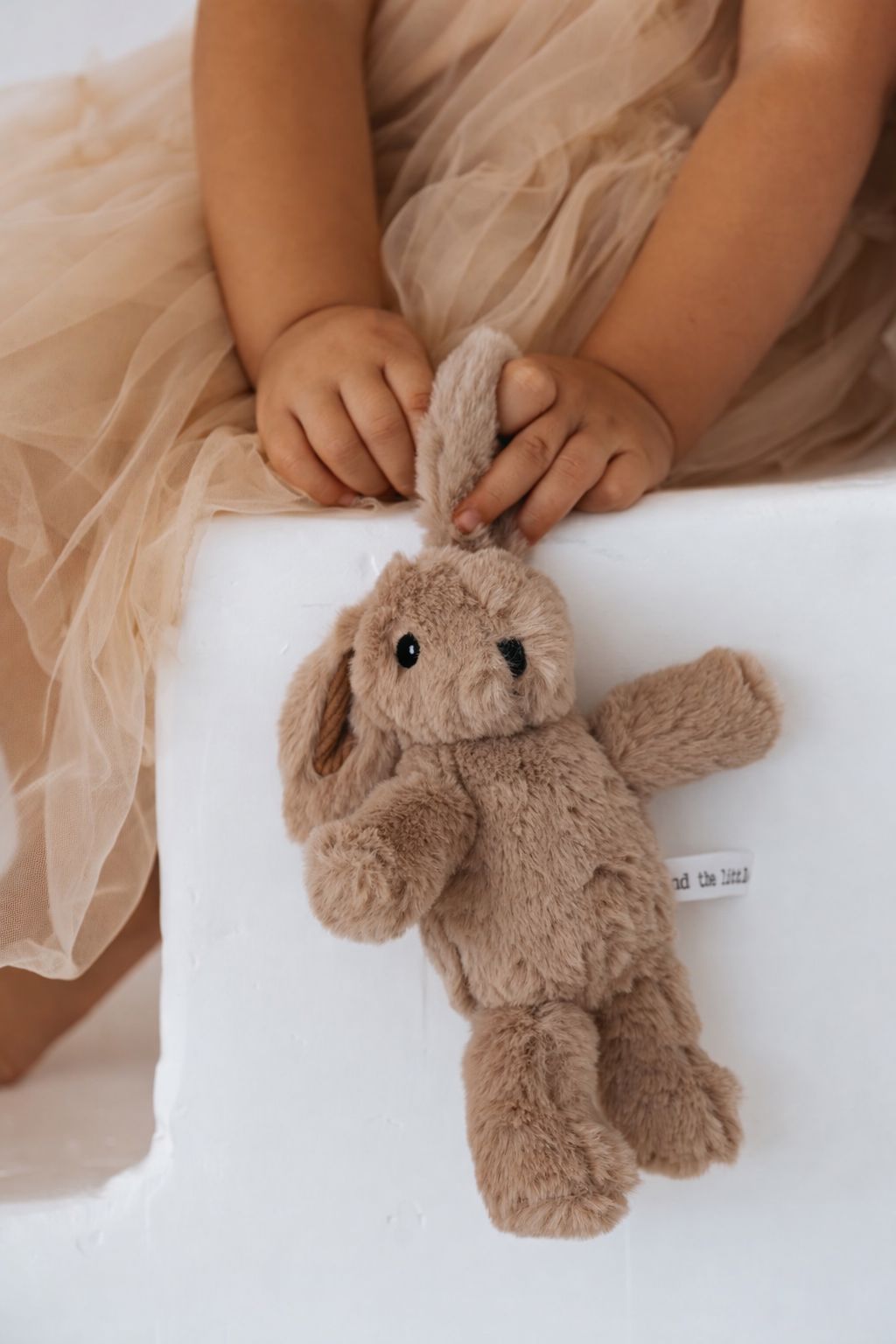 Hugh Rabbit - mini | soft toy Plush Toy and the little dog laughed 