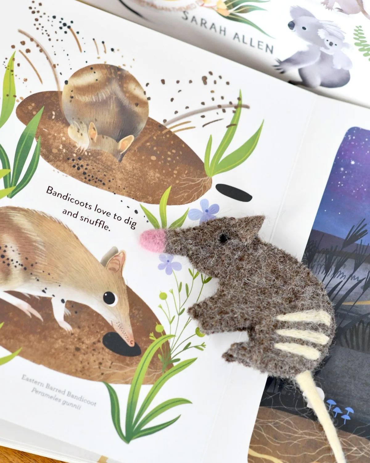 Jumping Joeys Finger Puppets and Book Set by Sarah Allen Finger Puppets Tara Treasures 