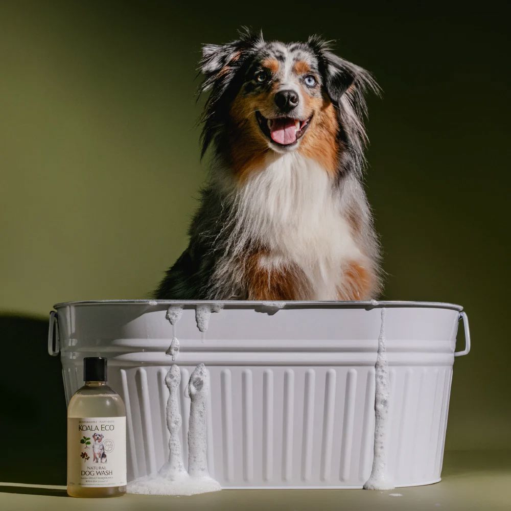 Koala Eco Natural Dog Wash - Australian Sweet Marjoram & Rosaline Essential Oil Koala Eco