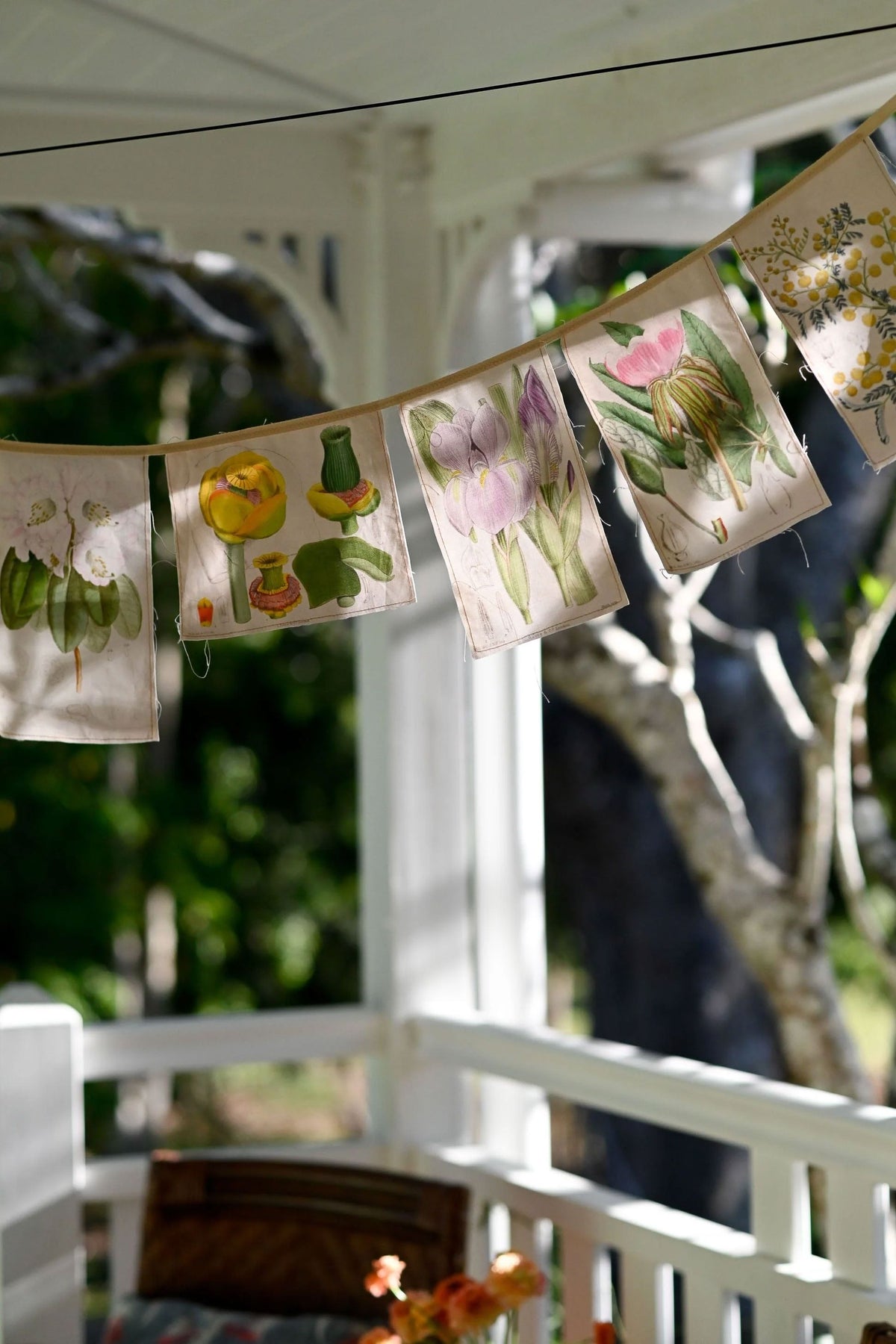 Lazy Bones Matilda Smith Botanic Garland Garland Lazy Bones 