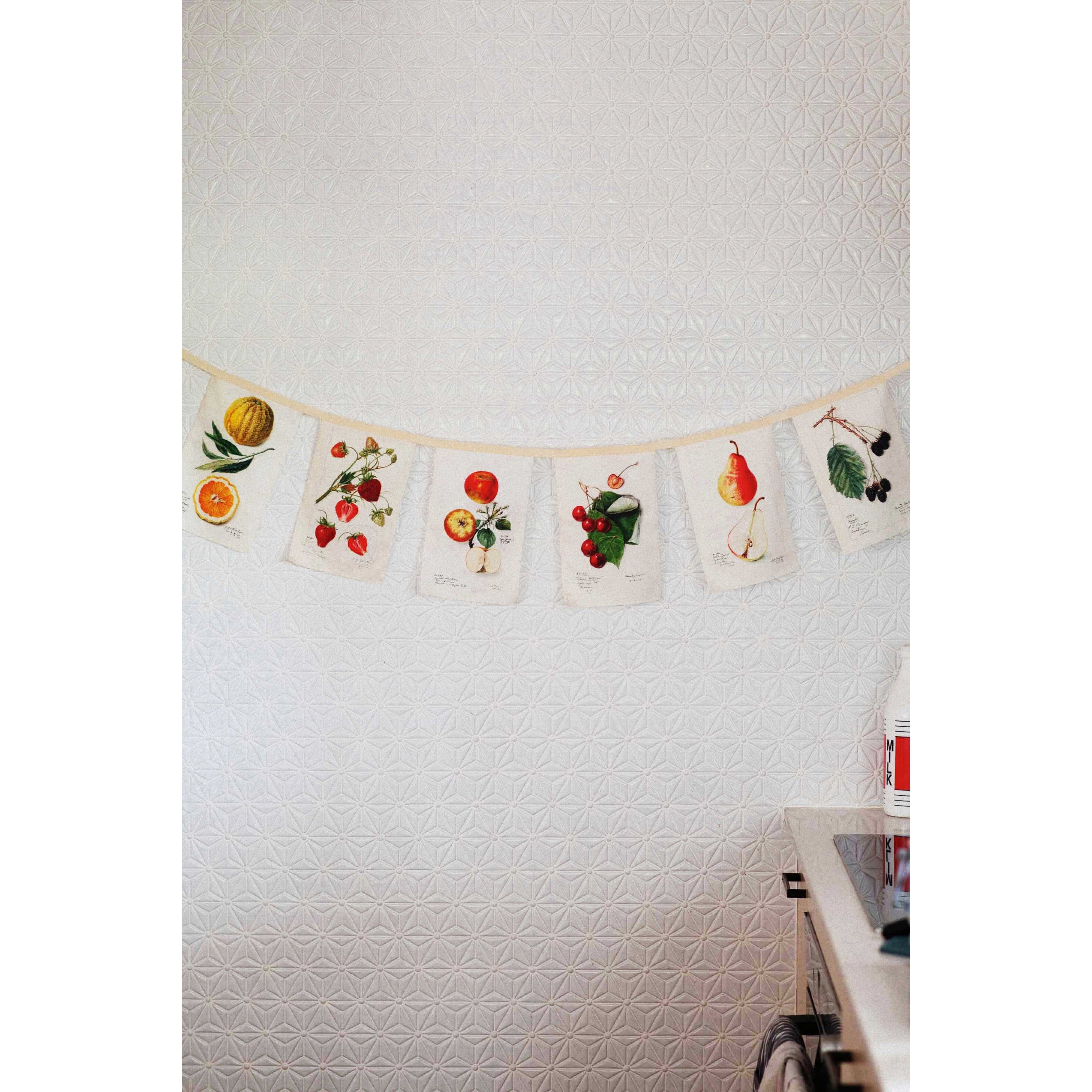 Lazy Bones Vintage Fruit Garland Lazy Bones