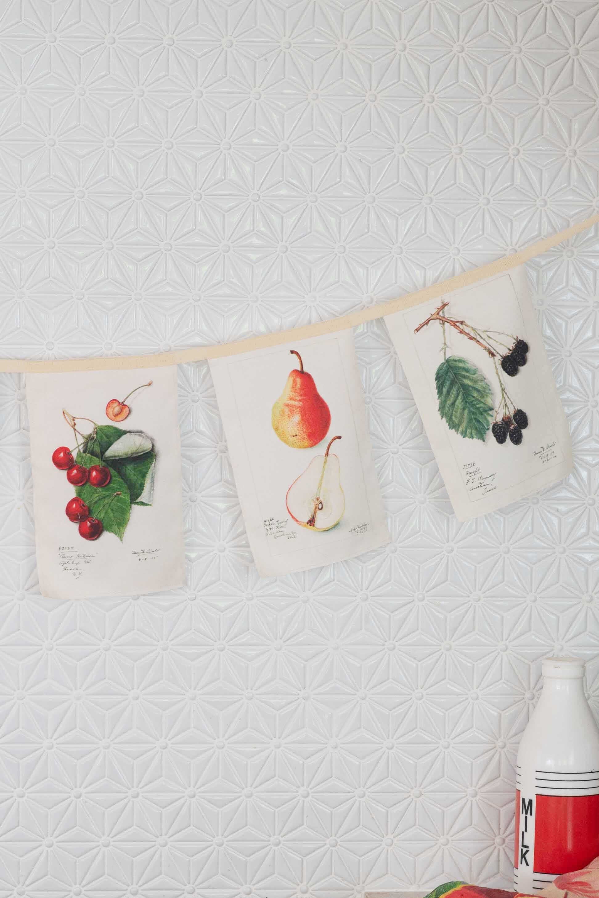 Lazy Bones Vintage Fruit Garland Lazy Bones