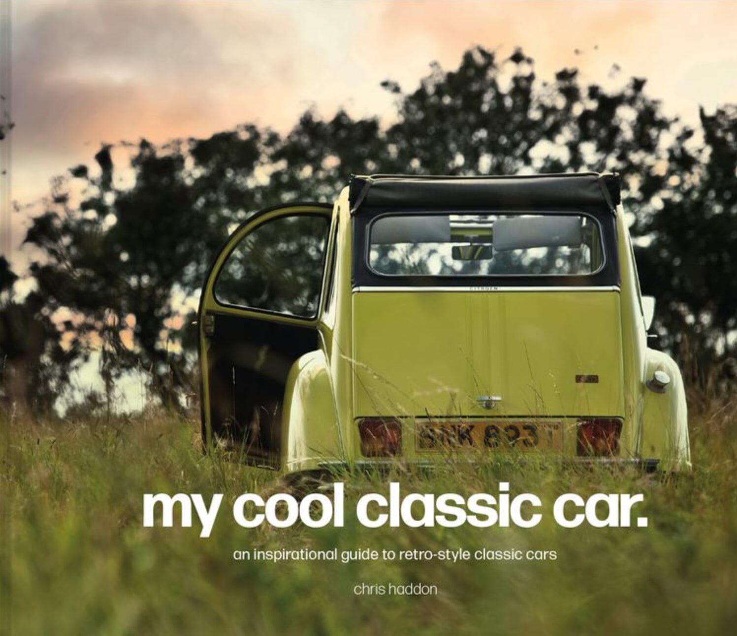 My Cool Classic Car Brumby Sunstate