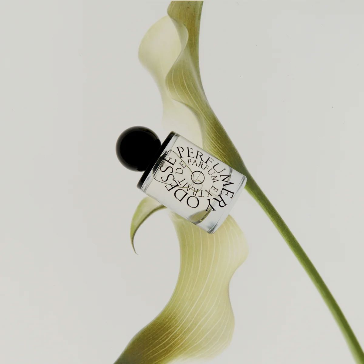Odesse Extrait De Parfum - Morning Skin Perfume Odesse 