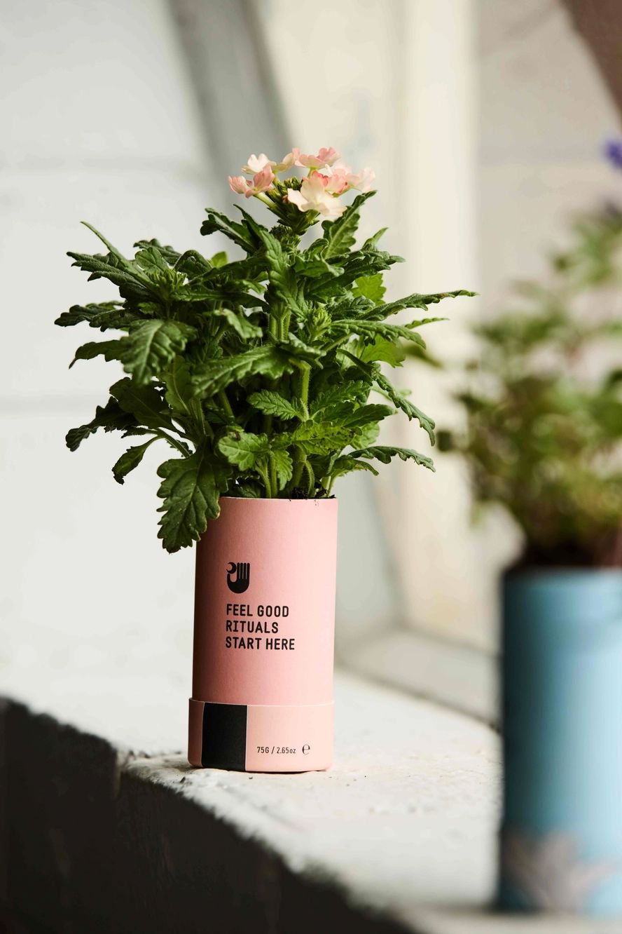 Papermoon Unscented Natural Deodorant Papermoon