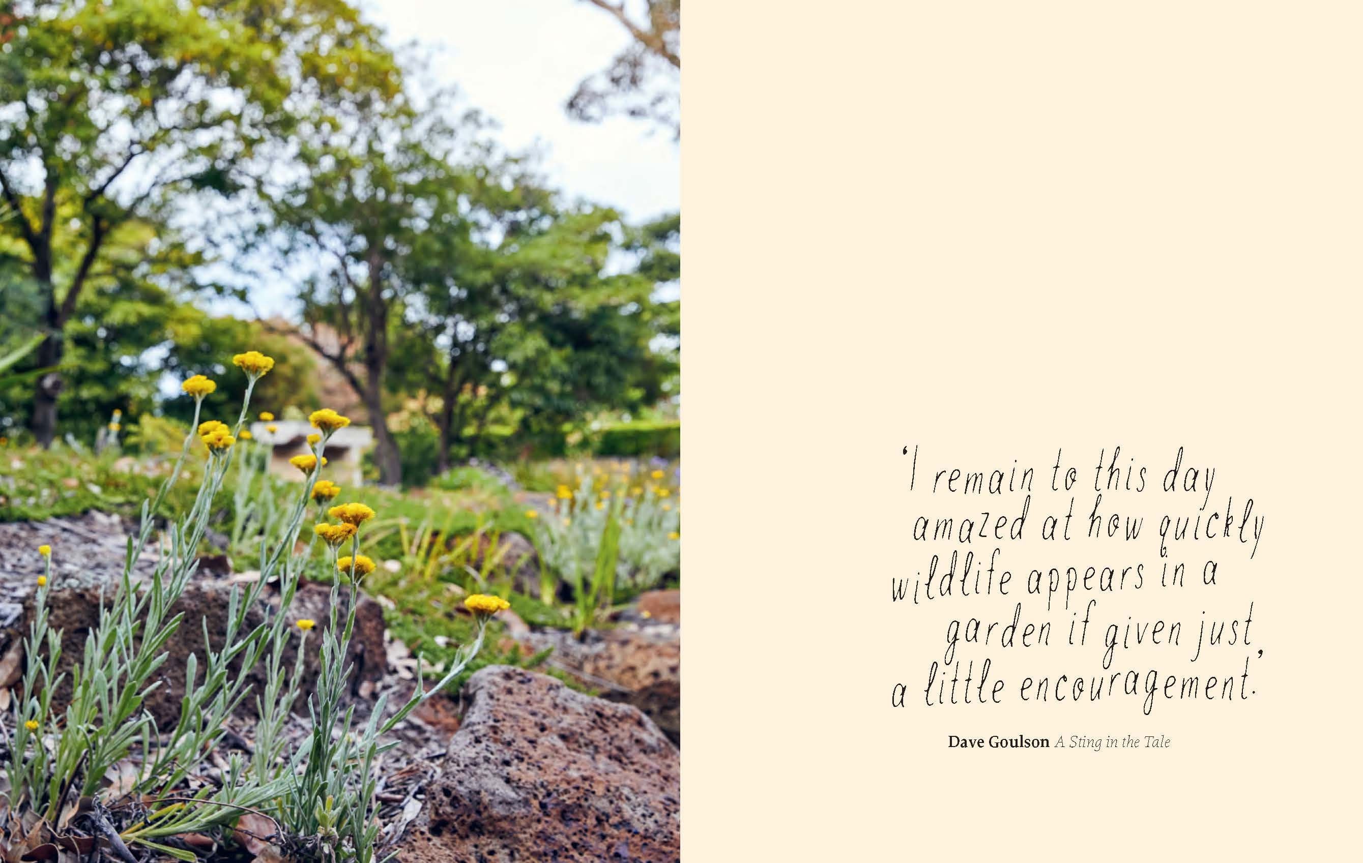 Planting for Native Birds, Bees, and Butterflies Gardening Book Brumby Sunstate 