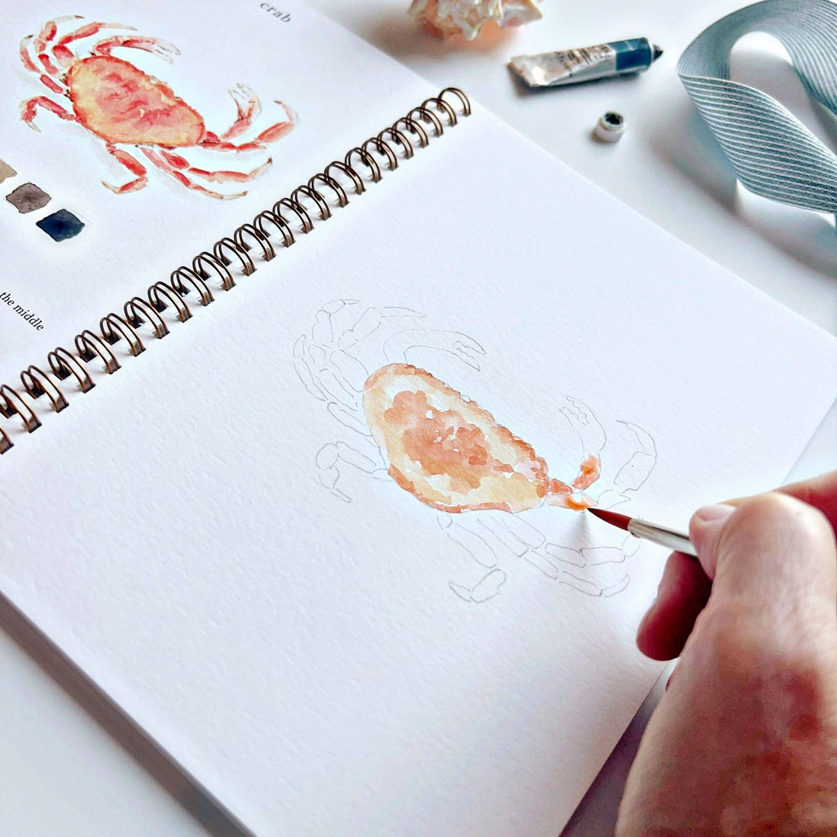 Seaside Watercolour Workbook emily lex studio