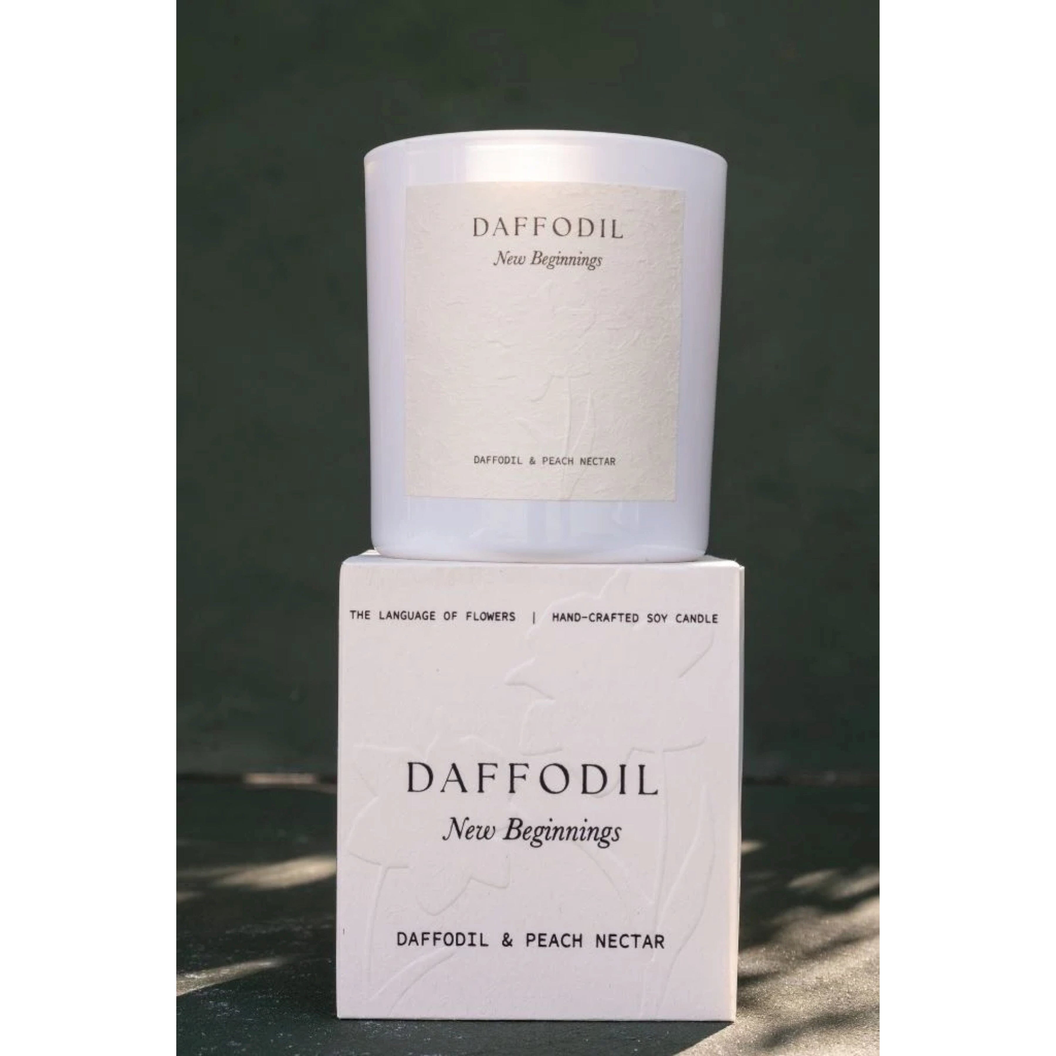 Studio Sol Daffodil Candle - Daffodil & Peach Nectar Studio Sol