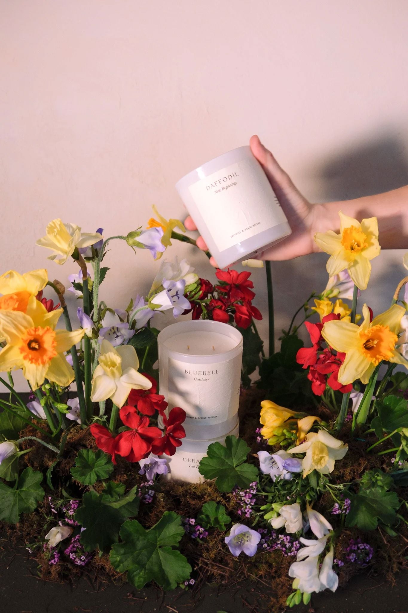 Studio Sol Geranium Candle - True Friendship Candle Studio Sol 