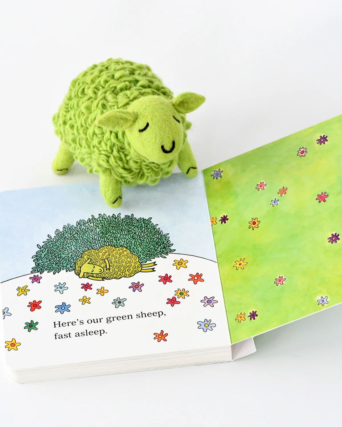 Tara Treasures Where is The Green Sheep Book Set Kids Toy Tara Treasures 