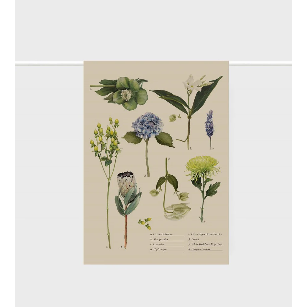 Father Rabbit Tea Towel - Botanical Collection