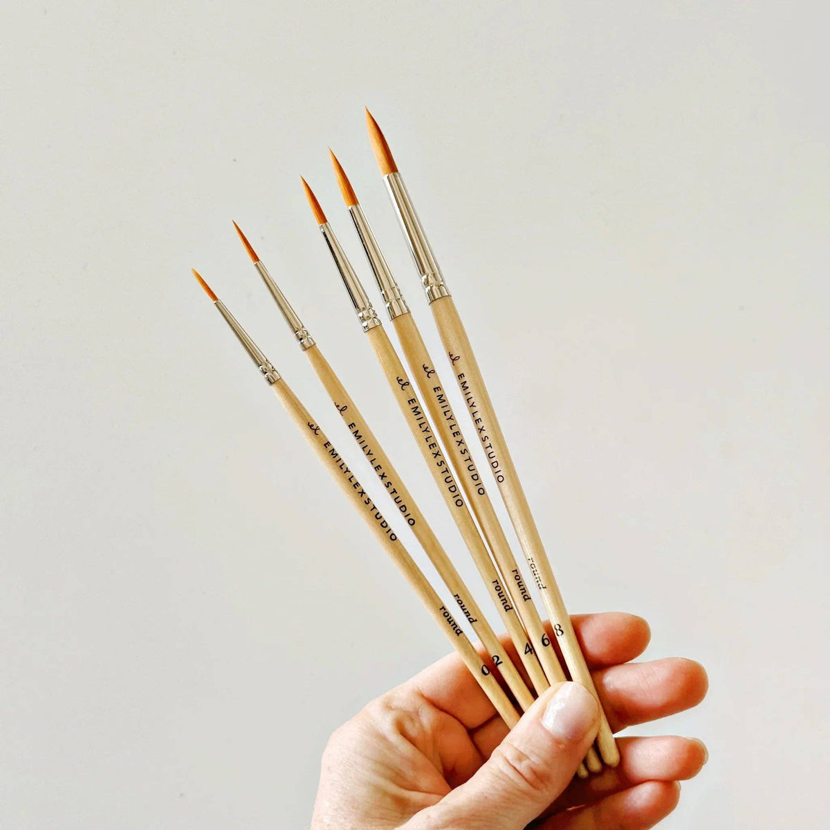 Watercolor Paintbrush Set of Five Wood Brushes emily lex studio
