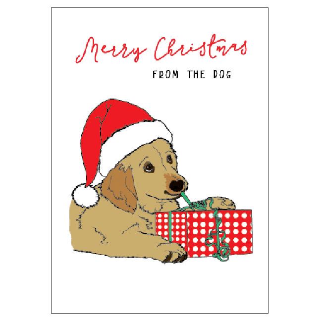 Merry Christmas From the Dog Christmas Card Candlebark Creations